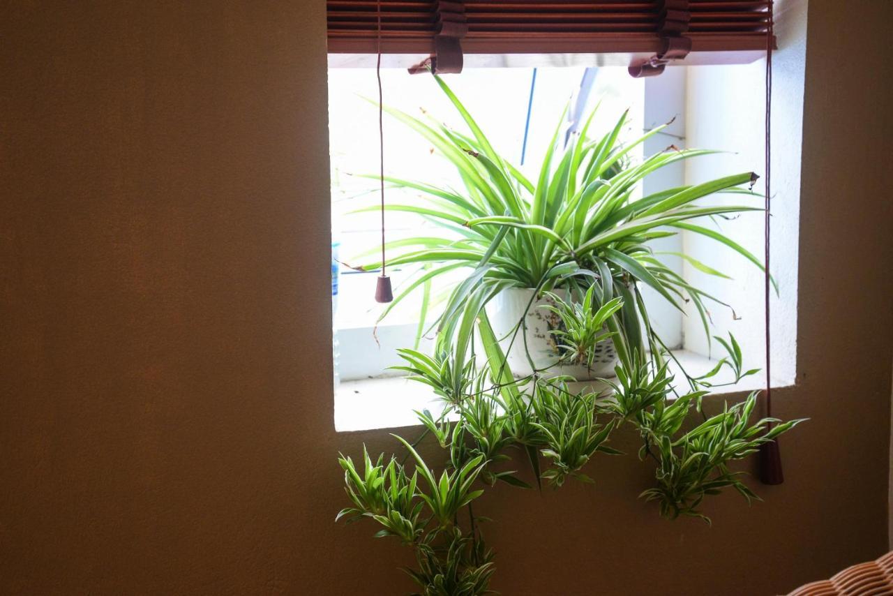 Ahoj Guest House Ha Long Esterno foto